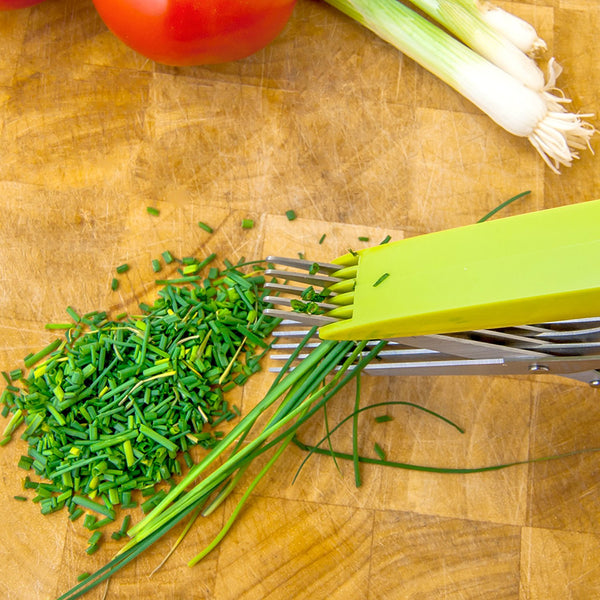 Multipurpose Kitchen Shears 5 Blades Herb Scissors 